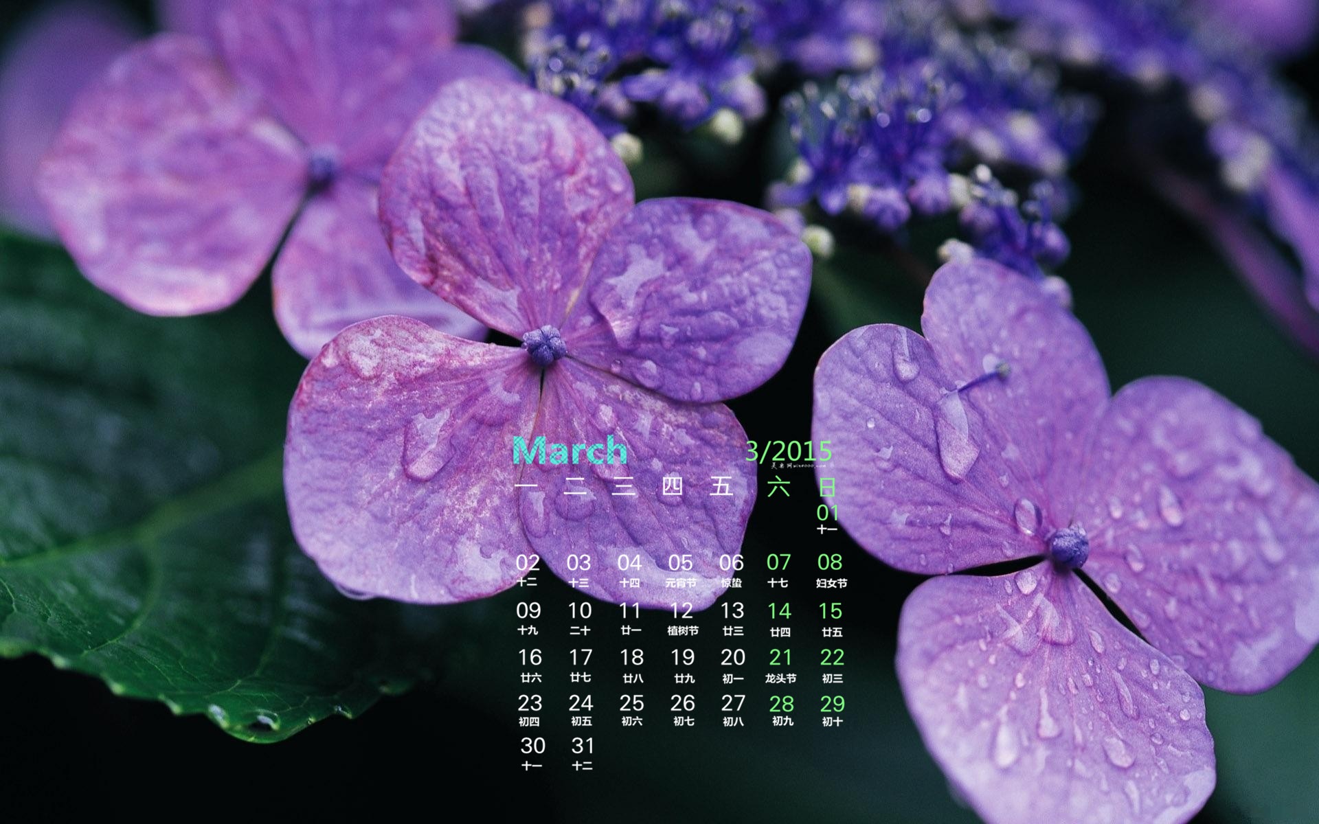 Март 2015 Календарь обои (1) #5 - 1920x1200