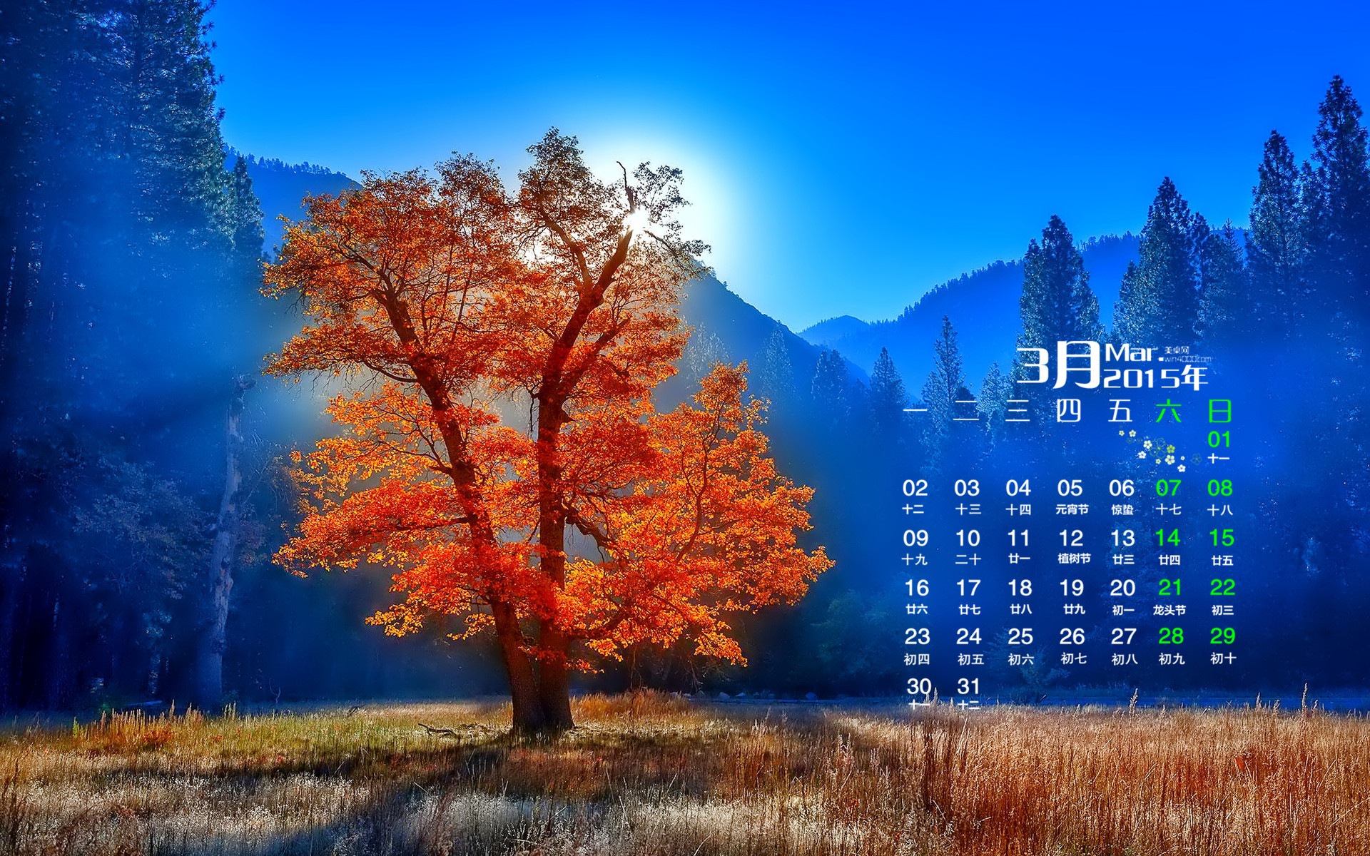 Март 2015 Календарь обои (1) #16 - 1920x1200