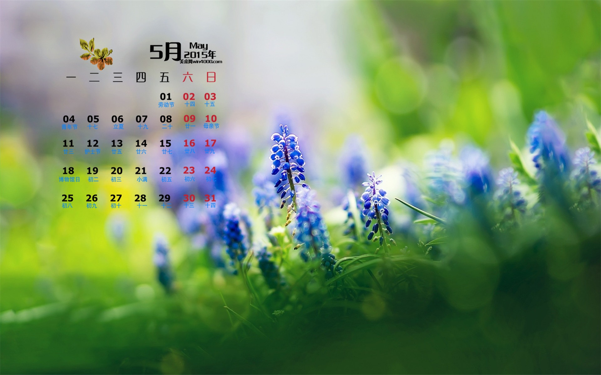Май 2015 календарный обои (1) #16 - 1920x1200