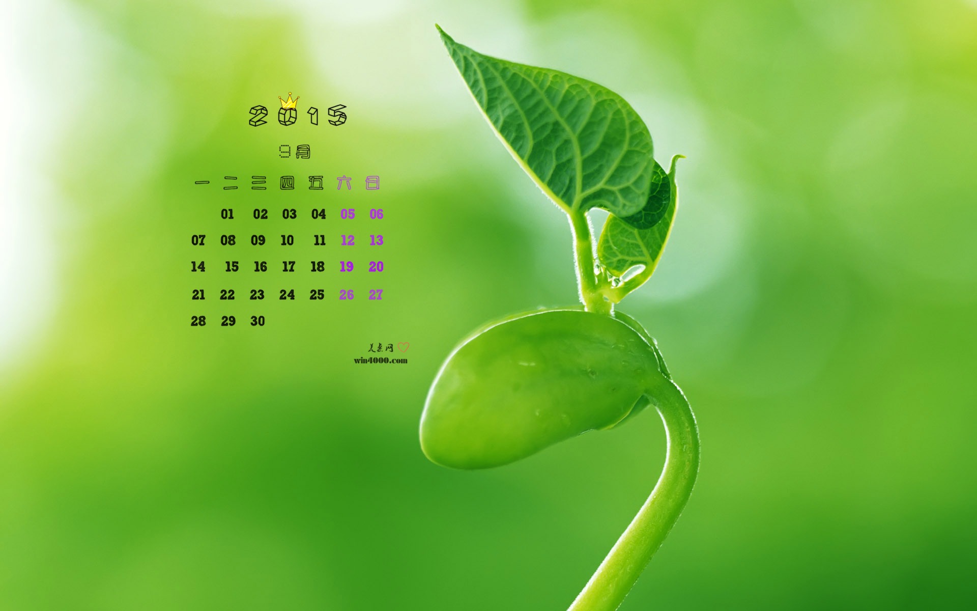 September 2015 calendar wallpaper (1) #5 - 1920x1200