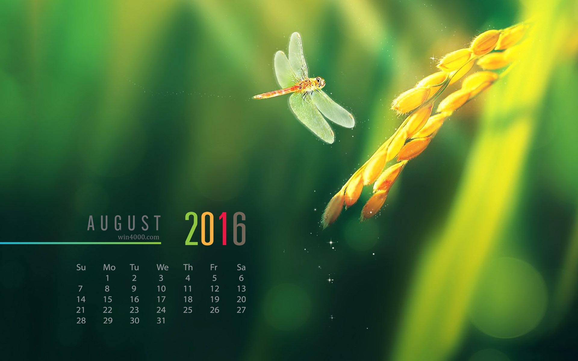 De agosto de el año 2016 fondo de pantalla de calendario (2) #2 - 1920x1200