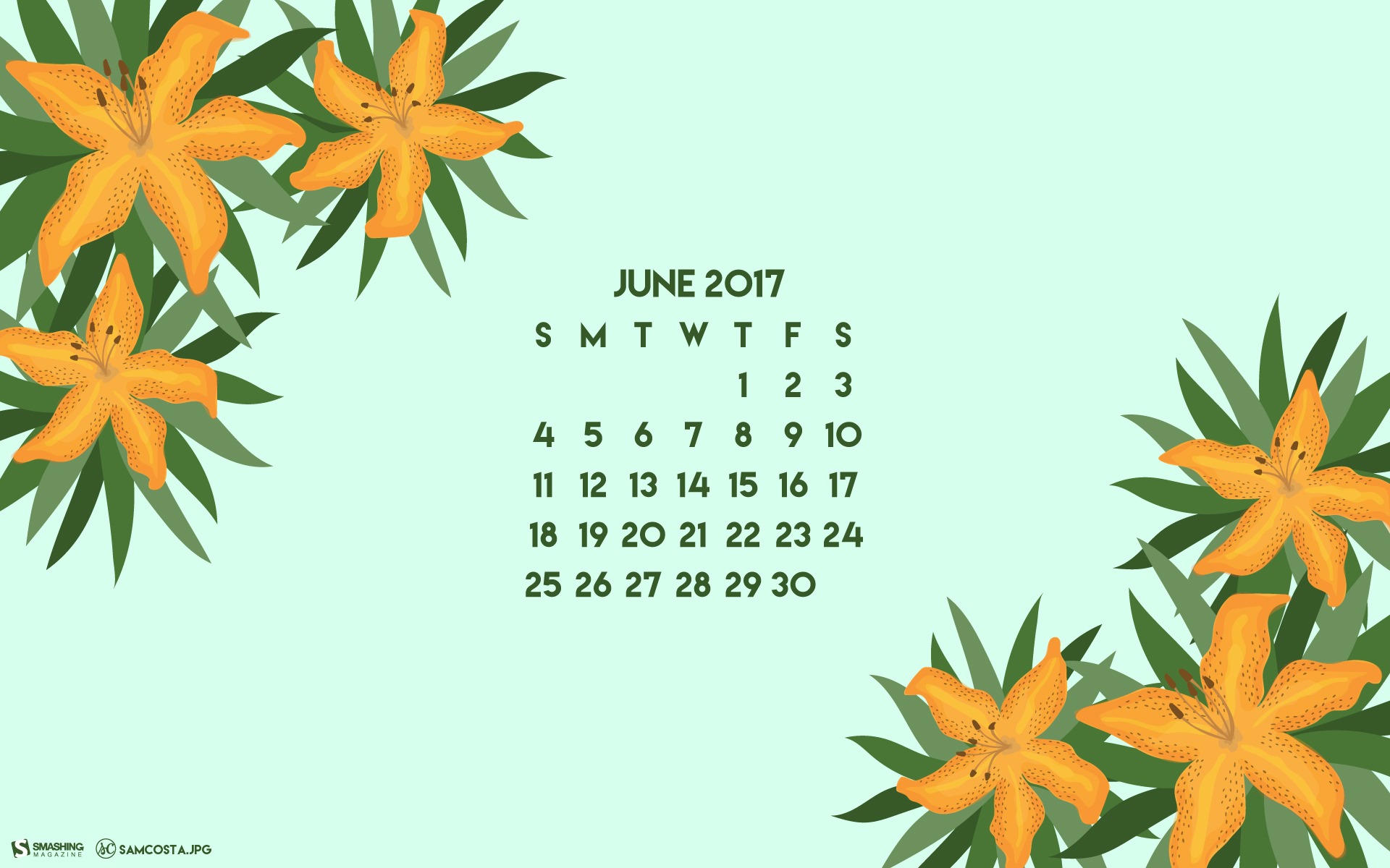 Červen 2017 kalendář tapety #3 - 1920x1200