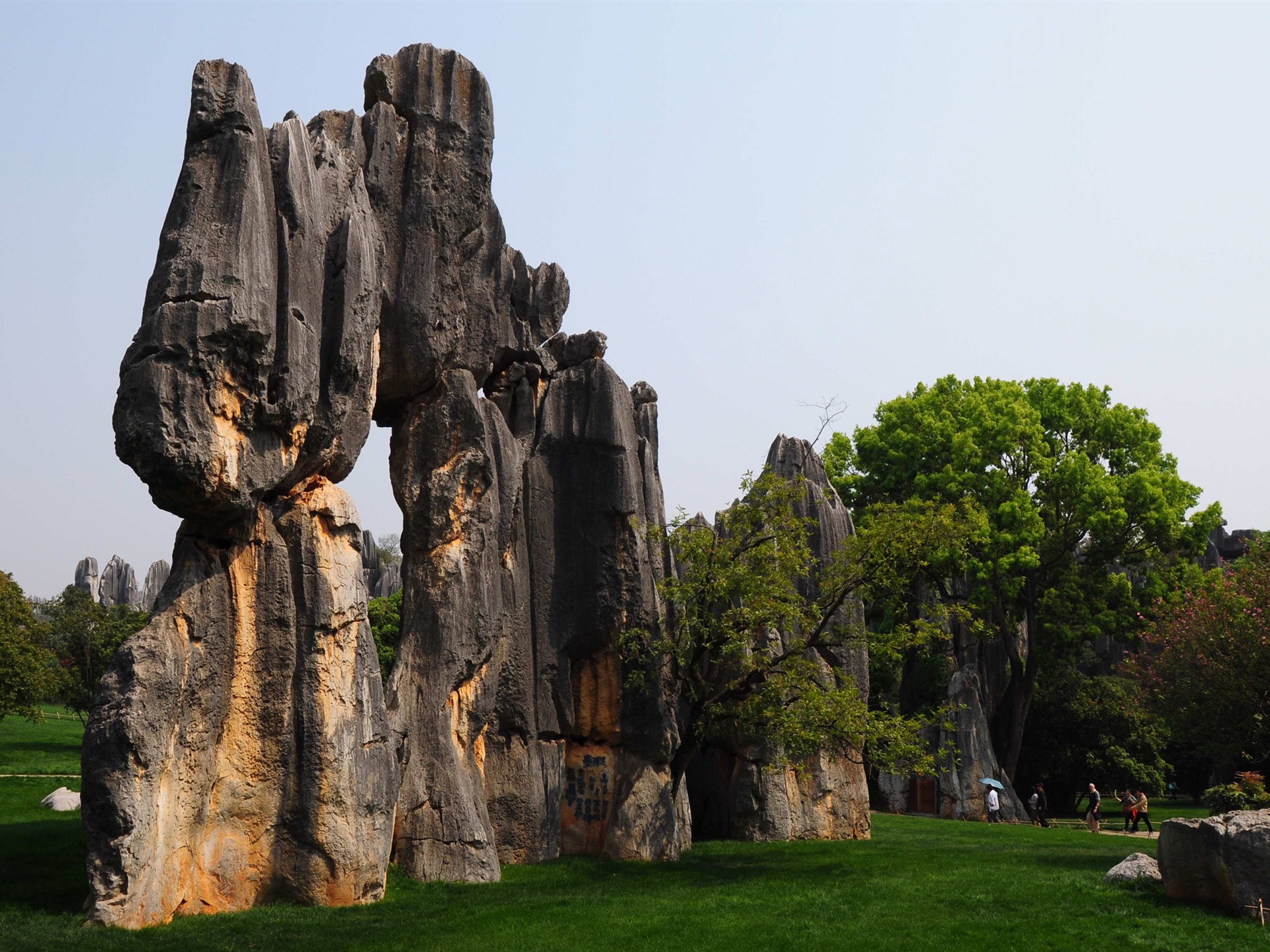 Stone Lesní v souladu Yunnan (1) (Khitan vlk práce) #2 - 1920x1440