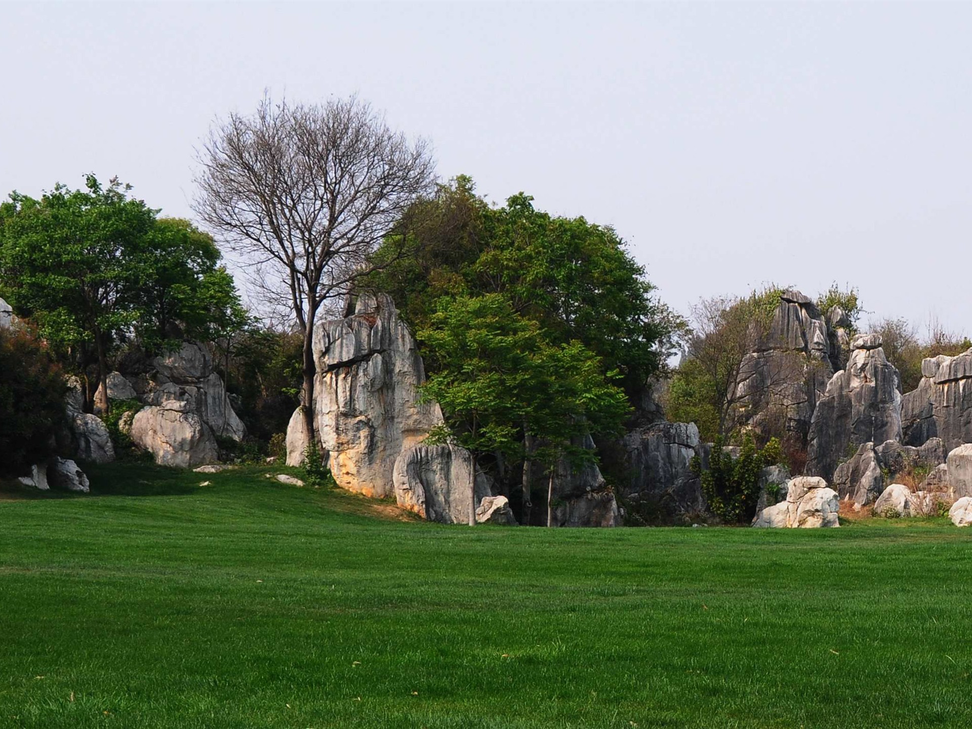 Каменный лес в провинции Юньнань линии (2) (работ киданей волка) #34 - 1920x1440