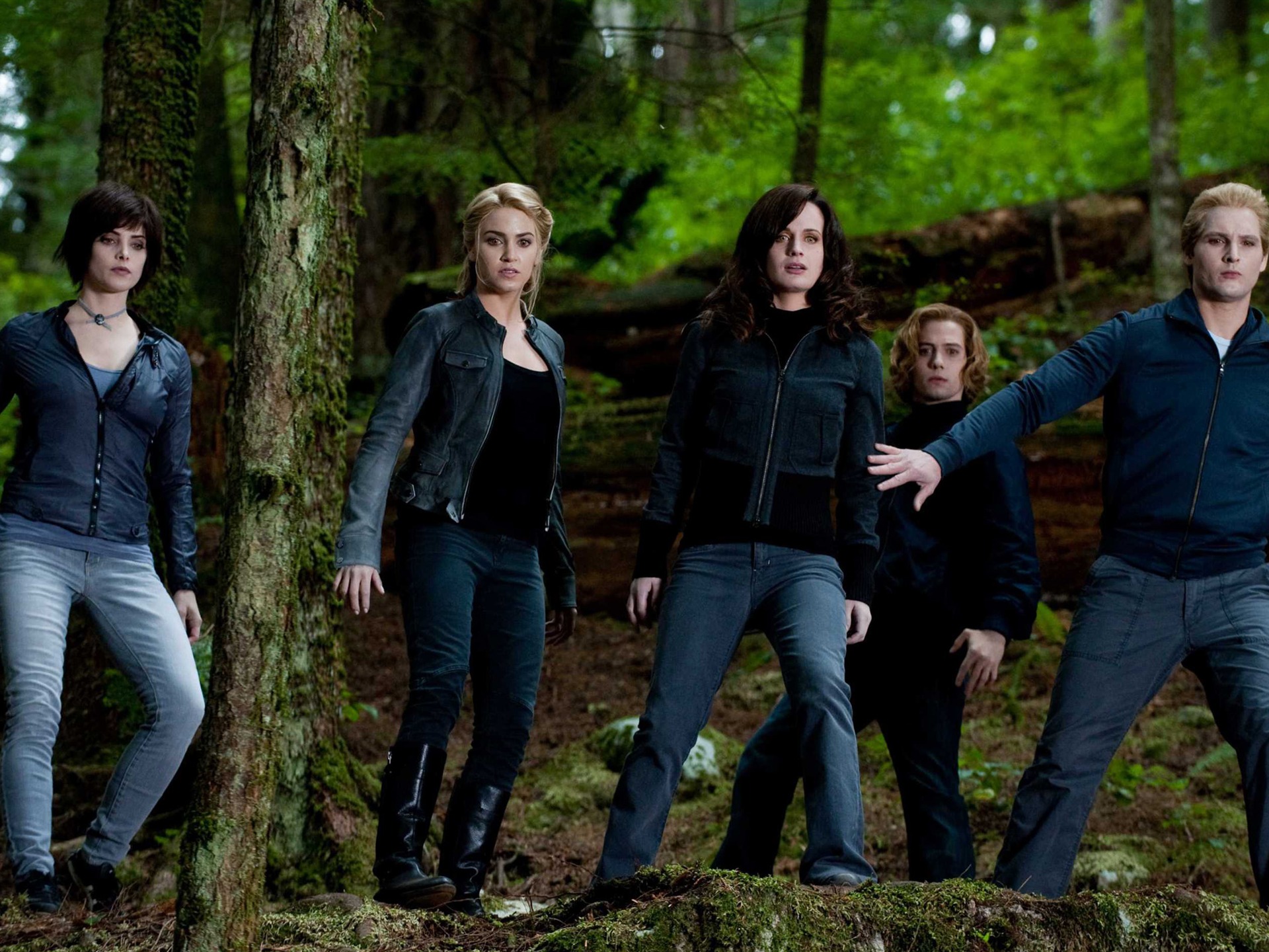 The Twilight Saga: Eclipse HD wallpaper (2) #2 - 1920x1440