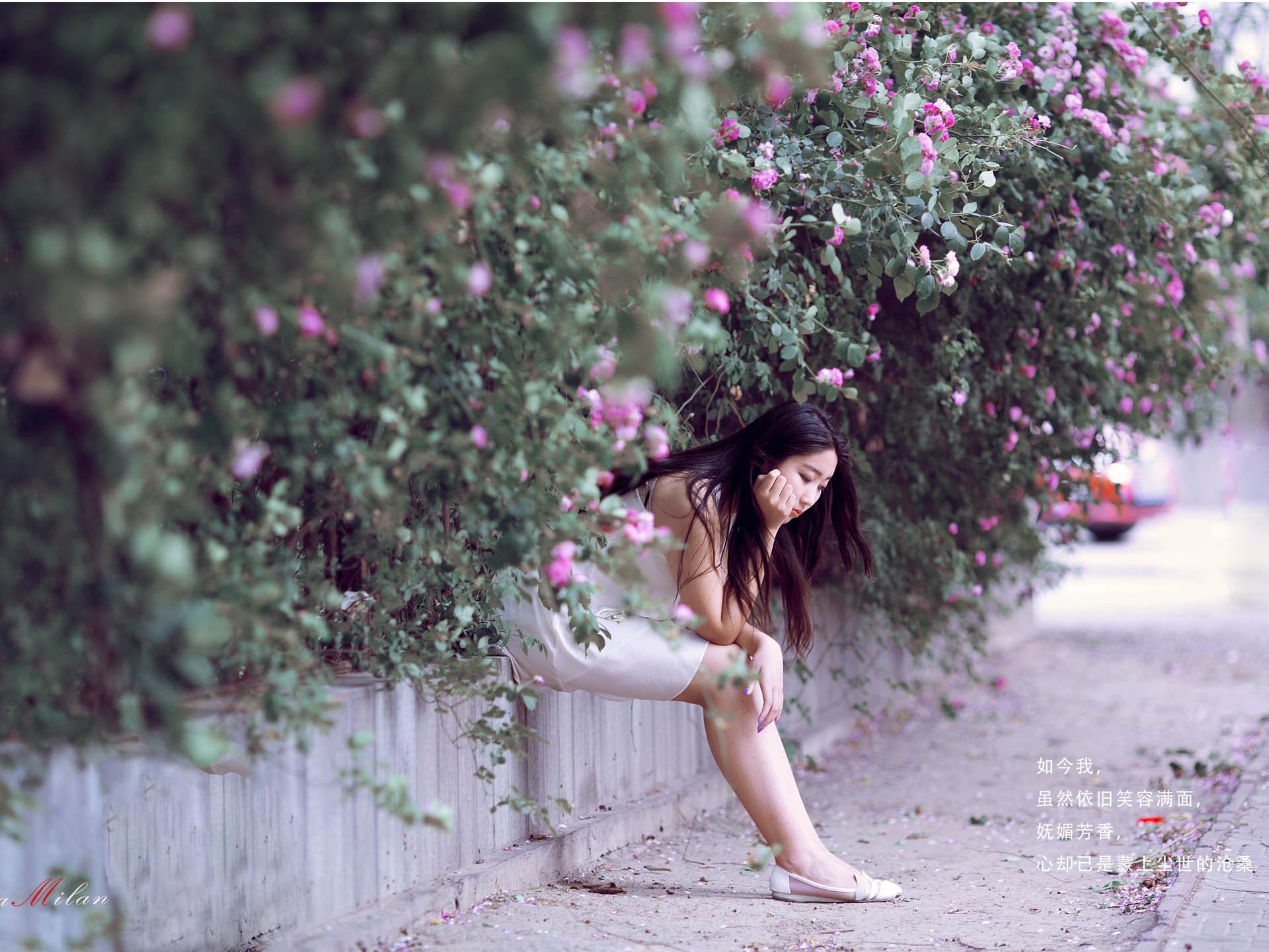 Beautiful girl with roses flower HD wallpapers #4 - 1920x1440