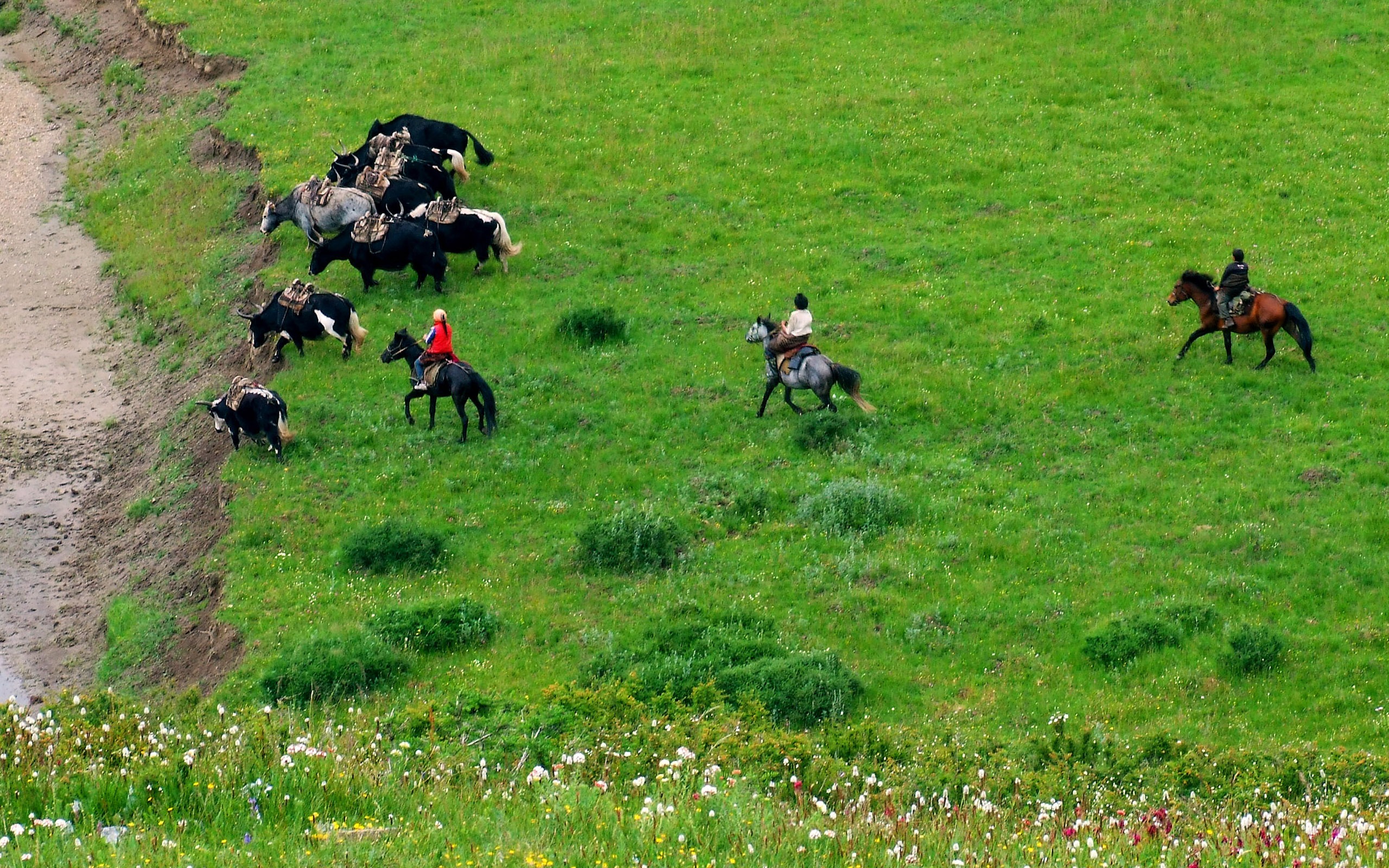 Aba collecting folk songs (1) (worms every day works) #20 - 2560x1600