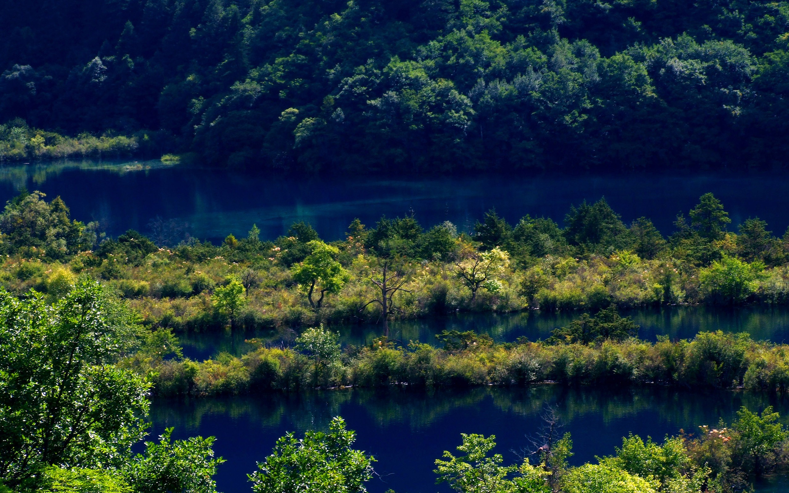 Aba Sammlung Volkslieder (1) (Würmer jeden Tag arbeitet) #28 - 2560x1600