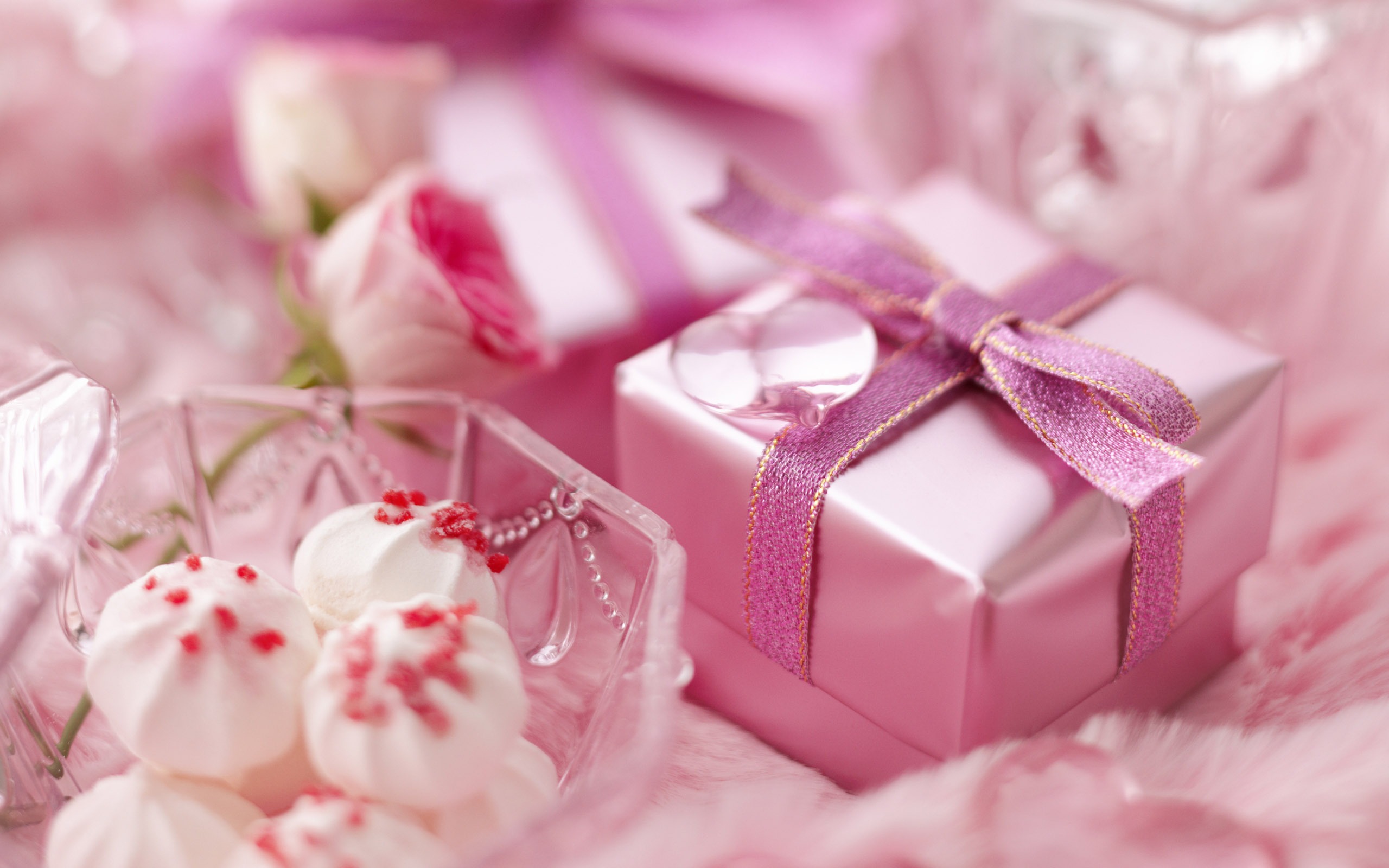Flowers Gifts HD Wallpapers (1) #16 - 2560x1600