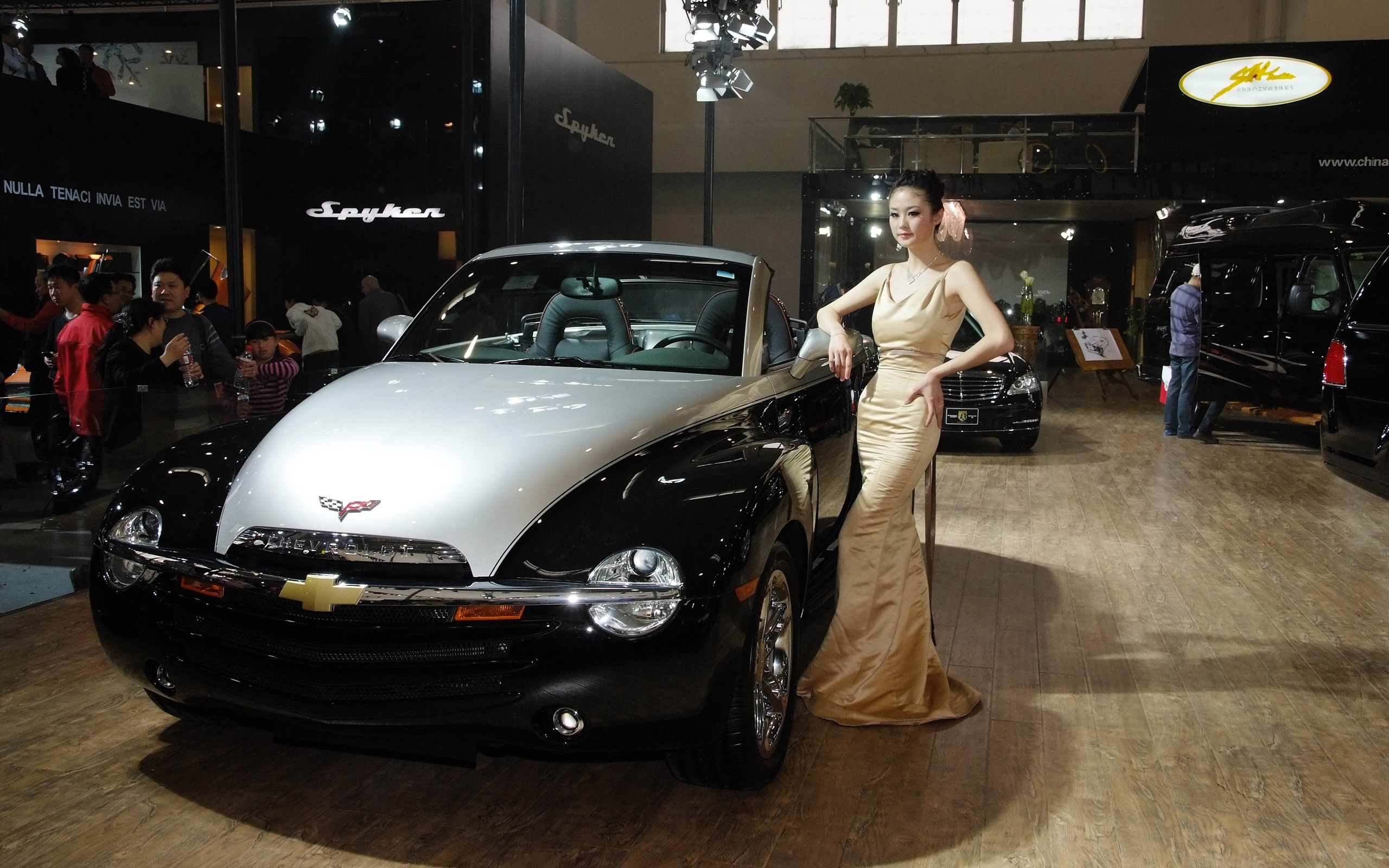 2010北京国際自動車ショー興チェの美しさ (鉄筋の作品) #15 - 2560x1600