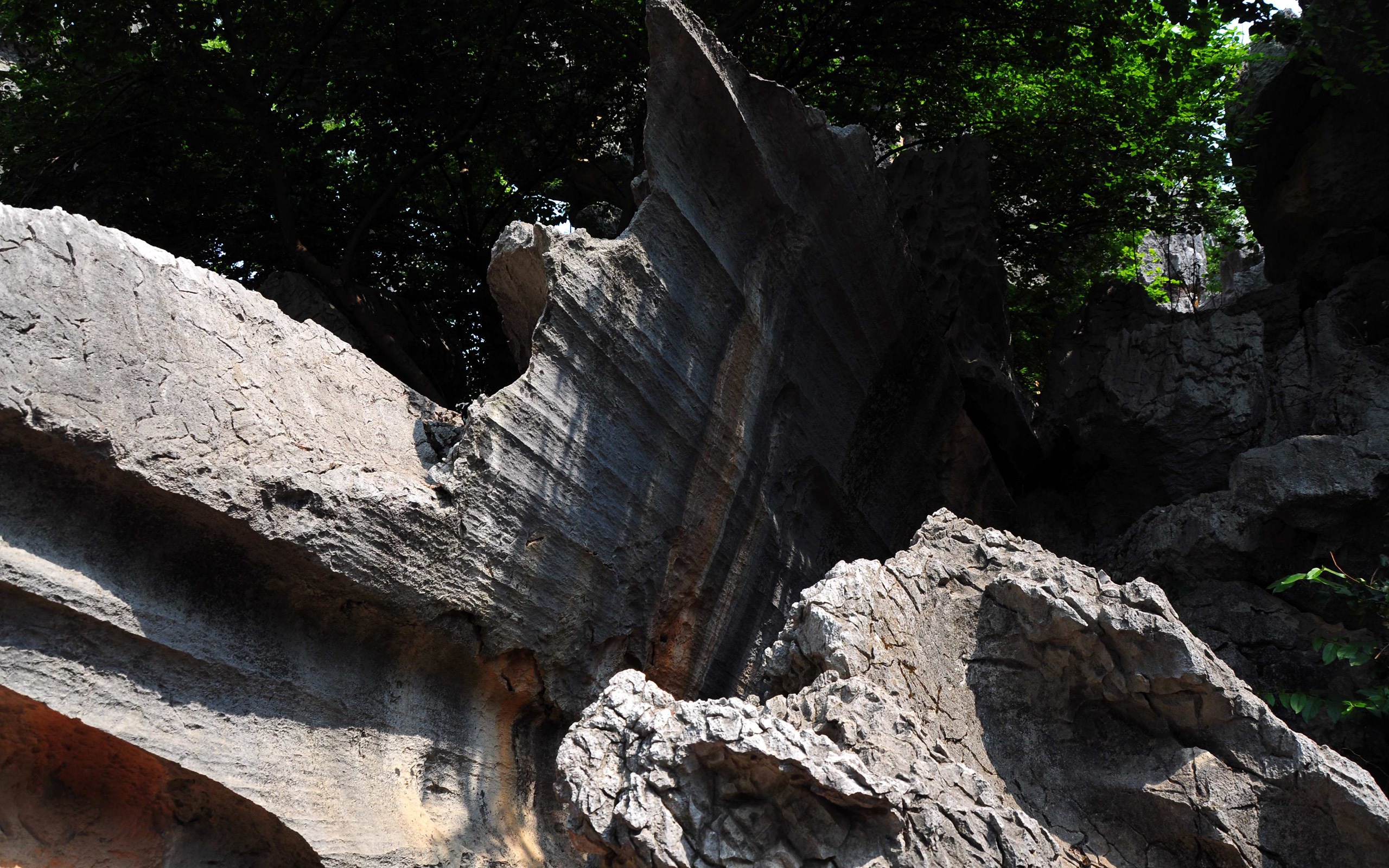 Bosque de Piedras de Yunnan en línea (1) (obras Khitan lobo) #8 - 2560x1600
