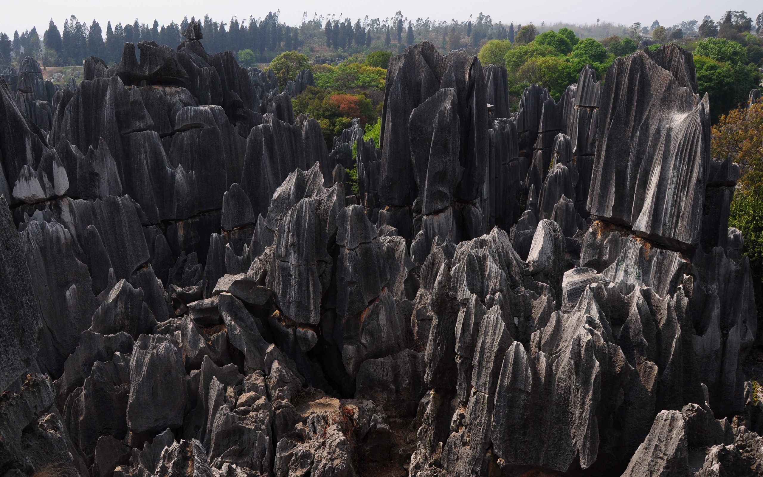 Bosque de Piedras de Yunnan en línea (1) (obras Khitan lobo) #16 - 2560x1600