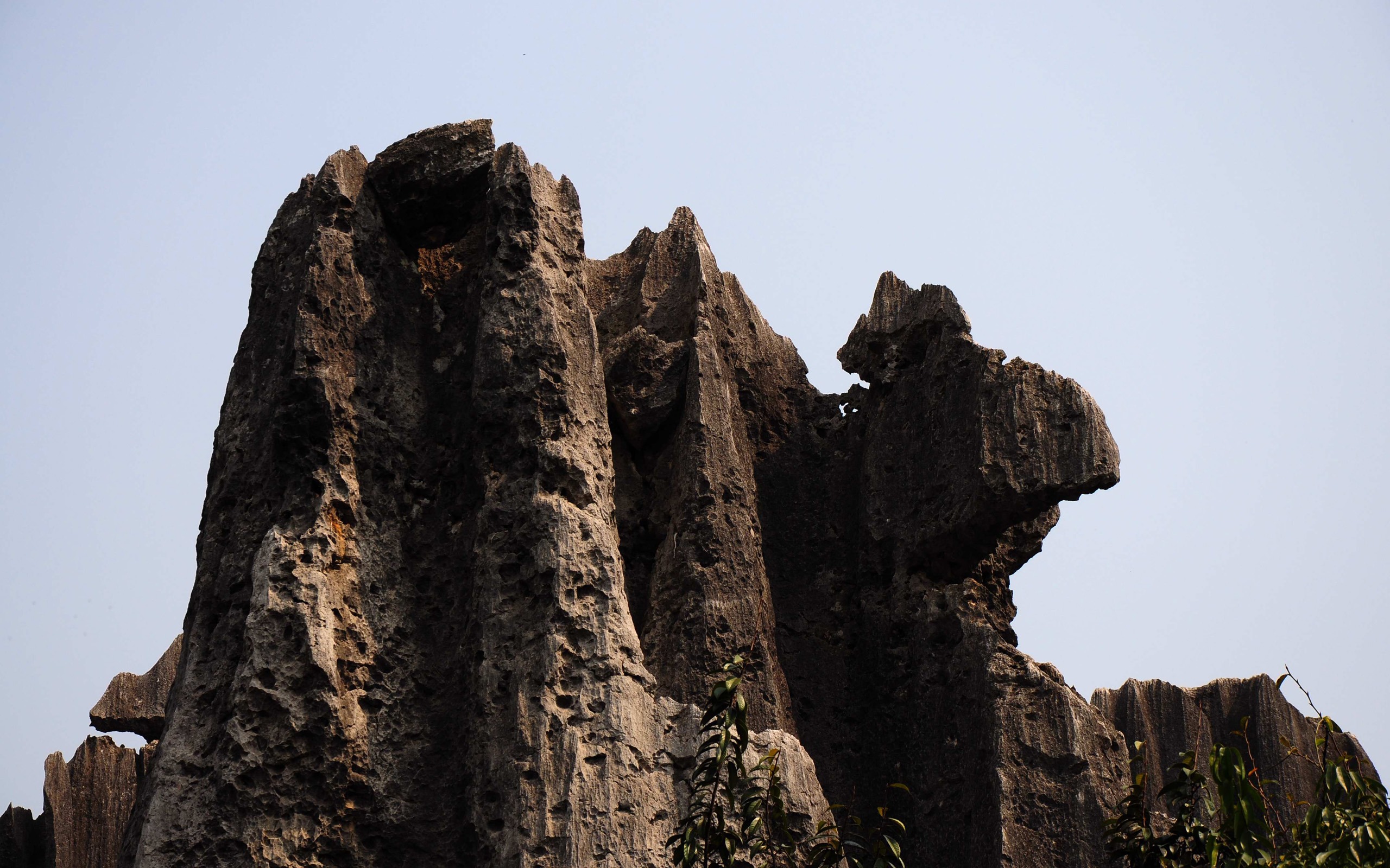 Stone Lesní v souladu Yunnan (2) (Khitan vlk práce) #3 - 2560x1600