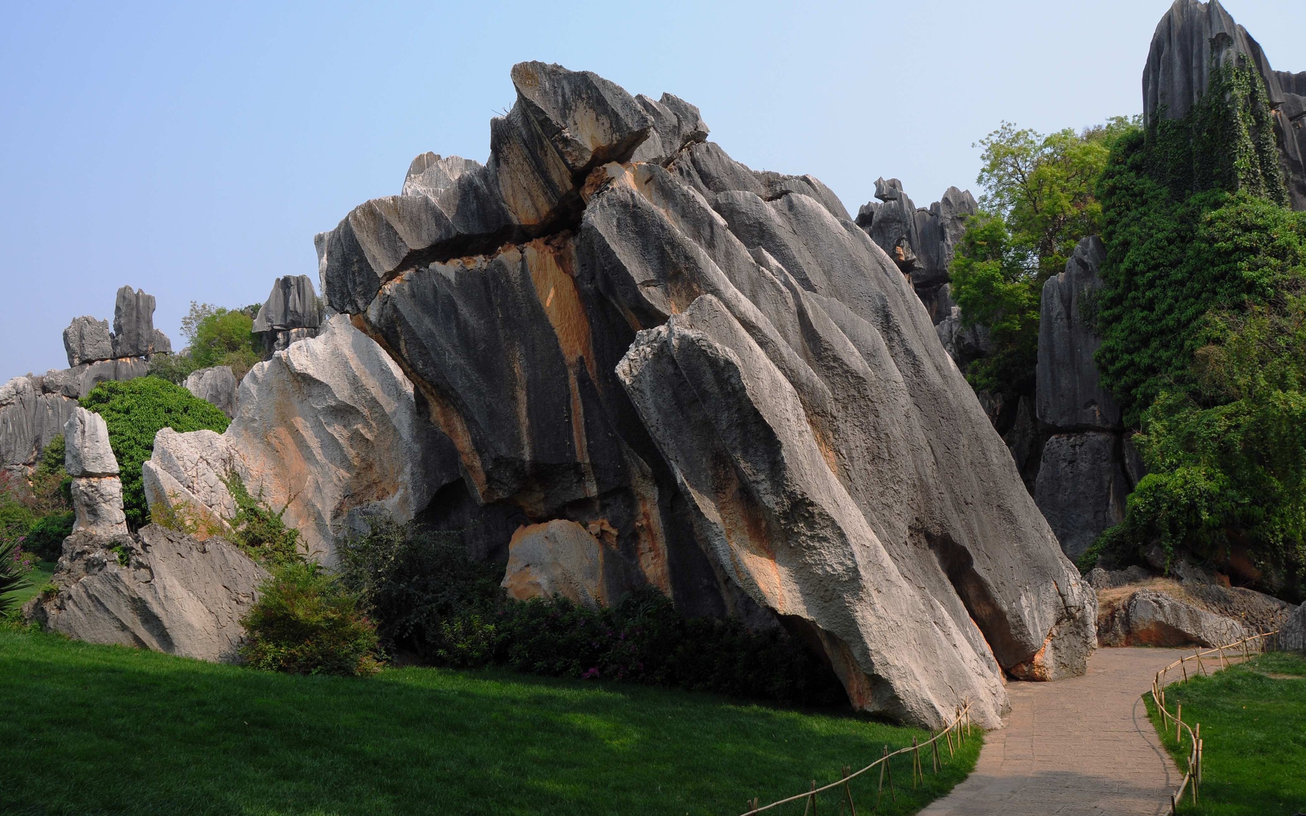 Stone Lesní v souladu Yunnan (2) (Khitan vlk práce) #11 - 2560x1600