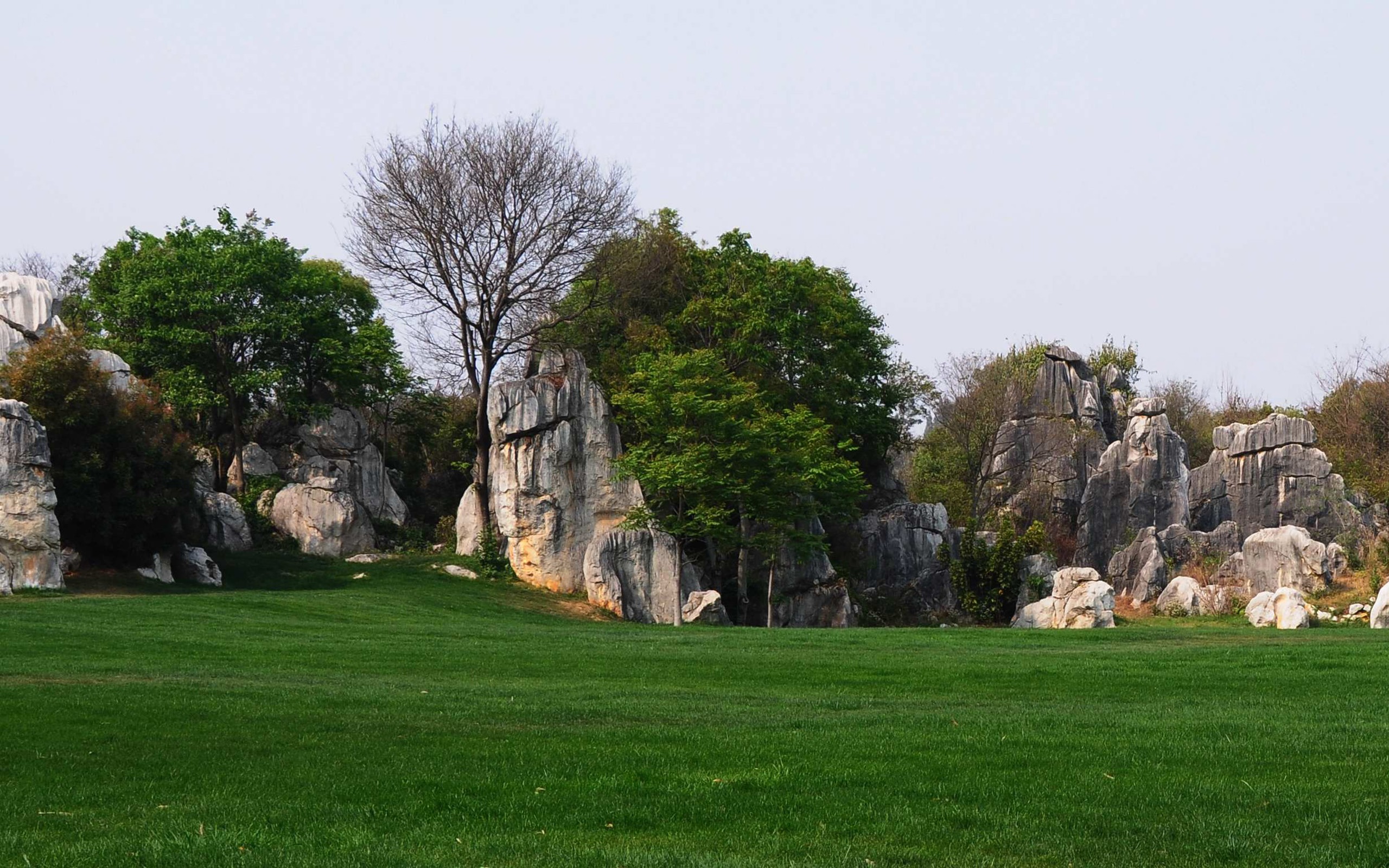 Каменный лес в провинции Юньнань линии (2) (работ киданей волка) #34 - 2560x1600