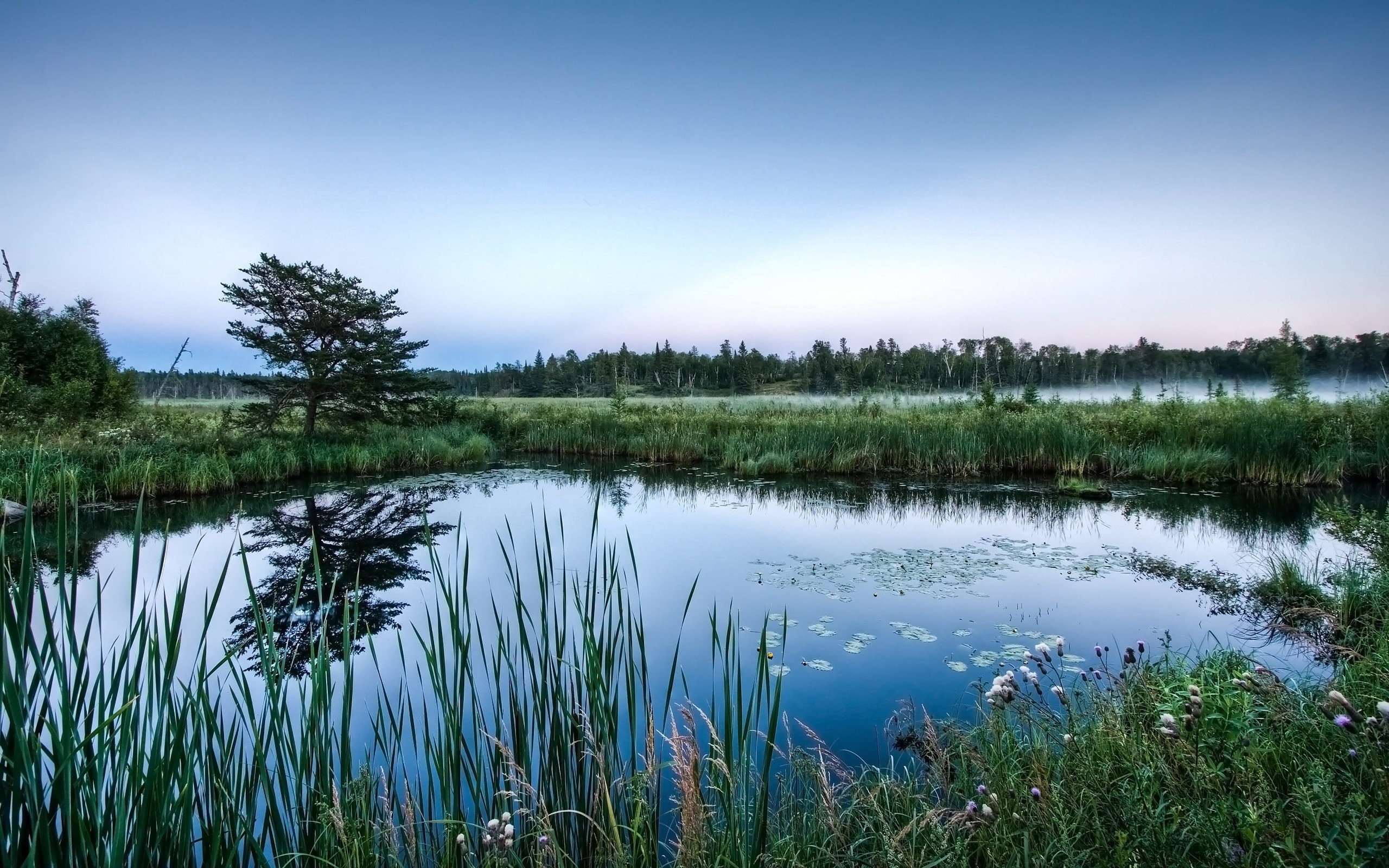 Reflexión en el fondo de pantalla paisajes naturales de agua #11 - 2560x1600
