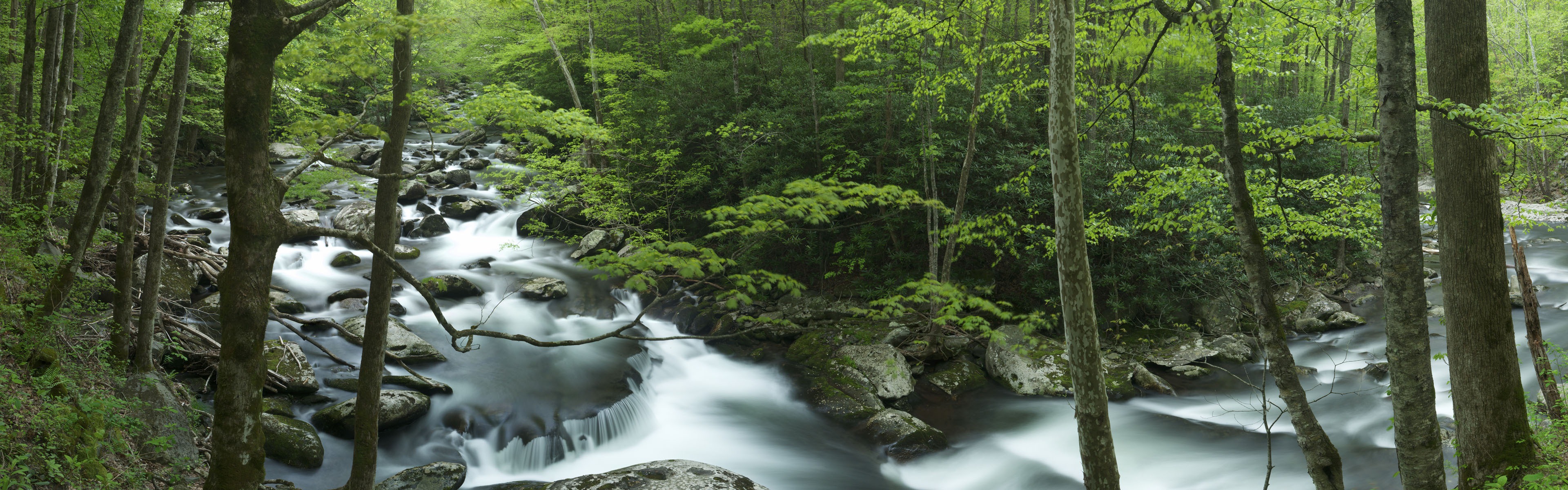 Windows 8 官方全景主题壁纸，海浪，森林，雄伟高山8 - 3840x1200