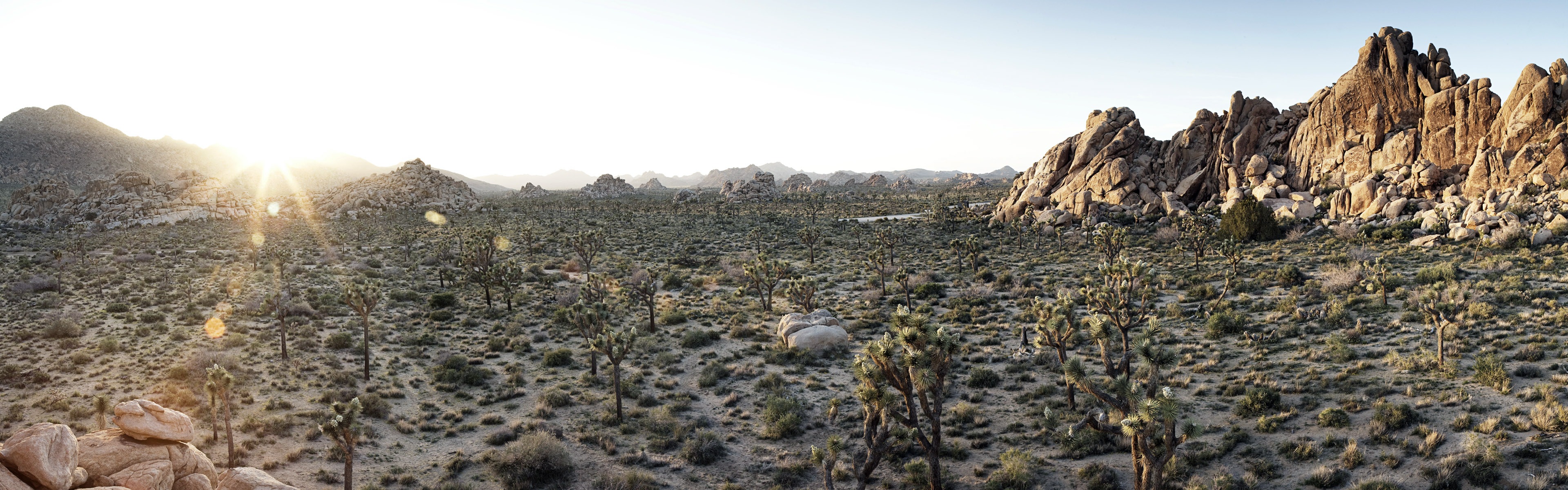 暑くて乾燥した砂漠、Windows 8のパノラマワイドスクリーンの壁紙 #9 - 3840x1200