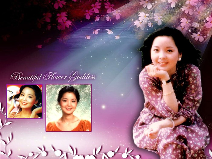 Teresa Teng Tapety Album #2