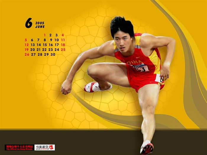 Página web oficial de Liu Wallpaper #15