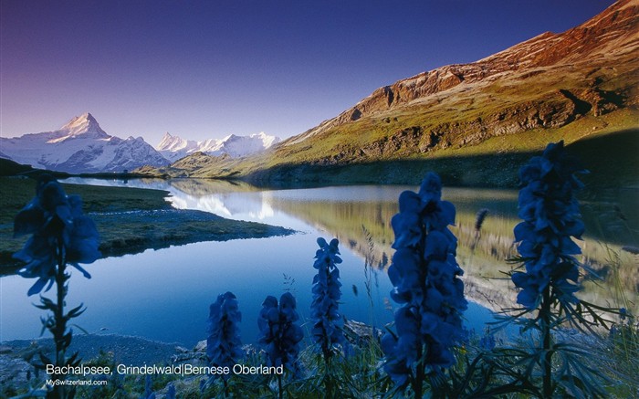 Швейцария обои достопримечательностей летнего туризма #10