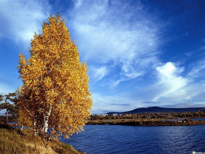 Un beau paysage naturel en Sibérie #14