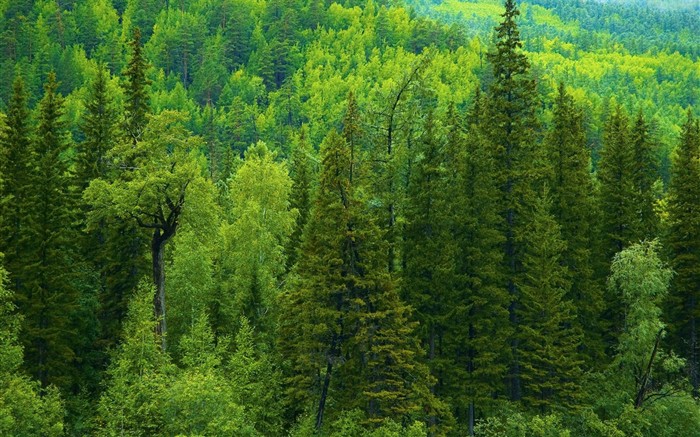 Красивый природный ландшафт в Сибири #15