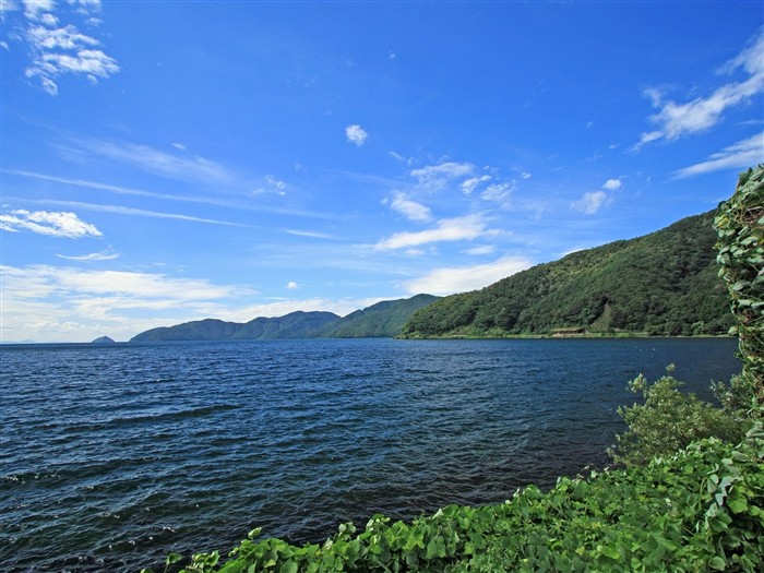 paysage de campagne Hokkaido #1