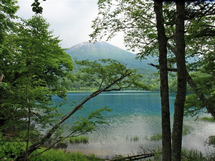 paysage de campagne Hokkaido #9