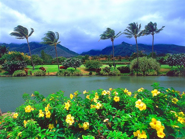 하와이안 비치 풍경 #1