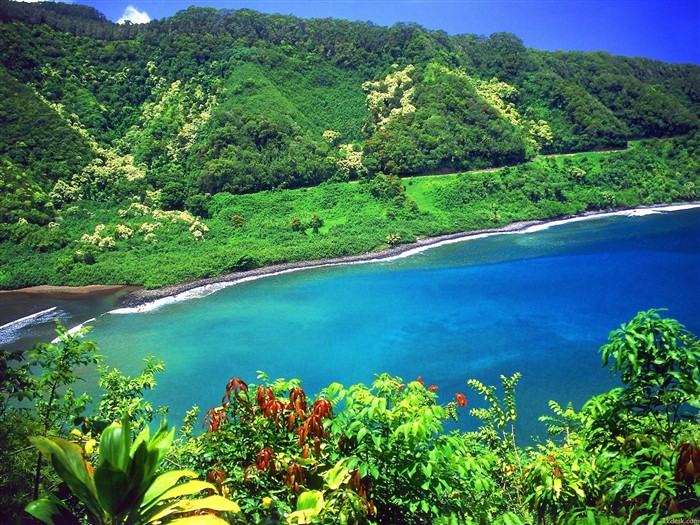 havajské pláži scenérie #6