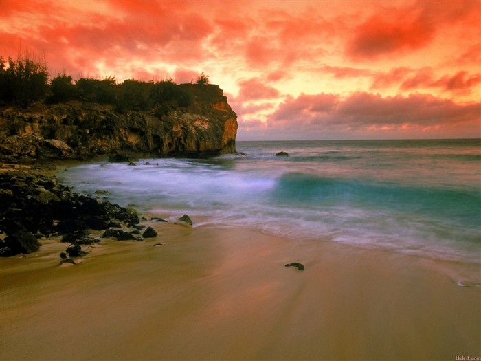 paysages plage hawaïenne #7