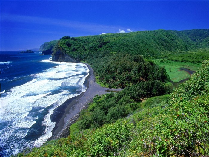 paisaje playa de Hawai #9