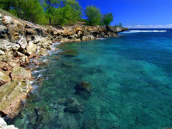paysages plage hawaïenne #12
