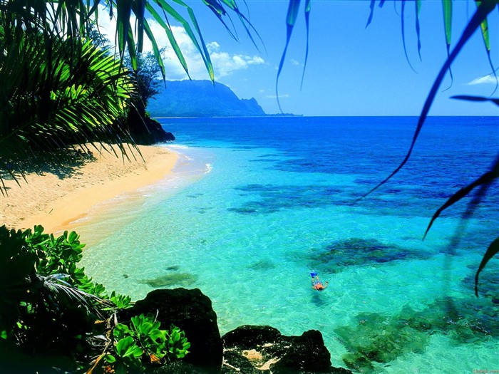 paisaje playa de Hawai #18