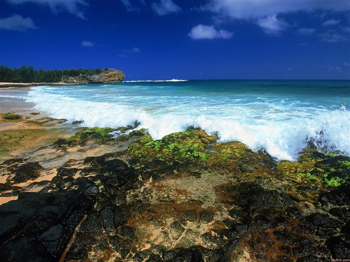 havajské pláži scenérie #19