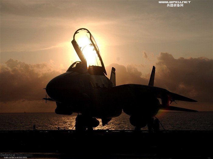 米海軍F14キーTomcatの戦闘機 #11