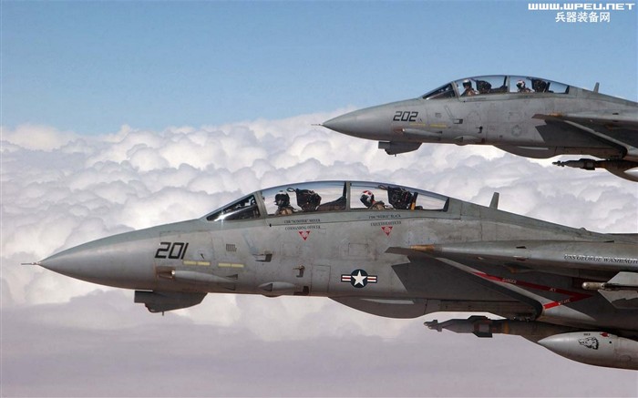 美国海军F14雄猫战斗机13