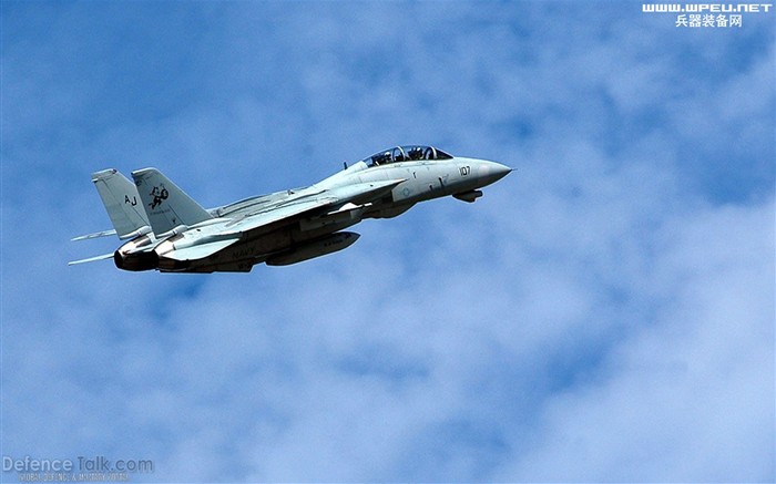 米海軍F14キーTomcatの戦闘機 #23