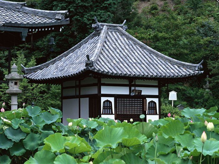 京都、日本、風景壁紙 #1