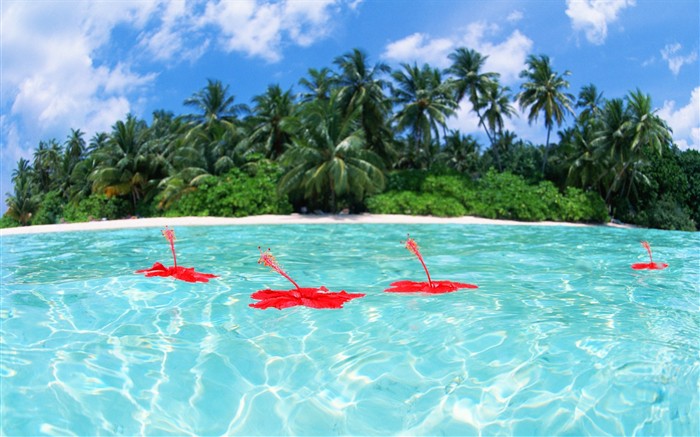Maldivas agua y el cielo azul #1
