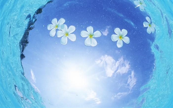 Maldivas agua y el cielo azul #9