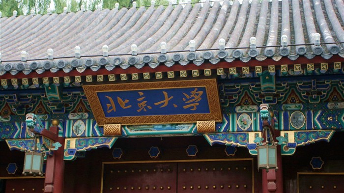 Glimpse der Peking-Universität (Minghu Metasequoia Werke) #1
