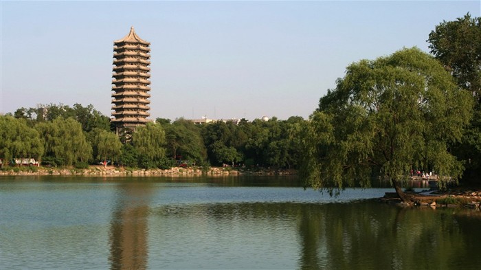 Chroniques d'une université de Pékin (Minghu œuvres Metasequoia) #5