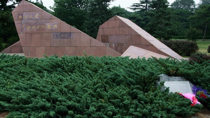 Glimpse of Peking University (Minghu Metasequoia works) #8