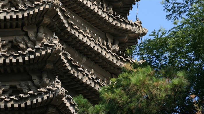 letmý pohled na Peking University (Minghu Metasequoia práce) #22