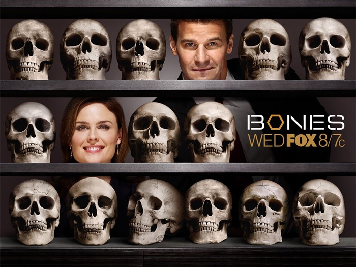 Bones wallpaper #5