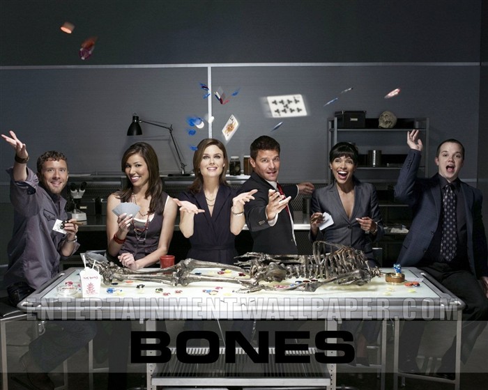Bones wallpaper #18