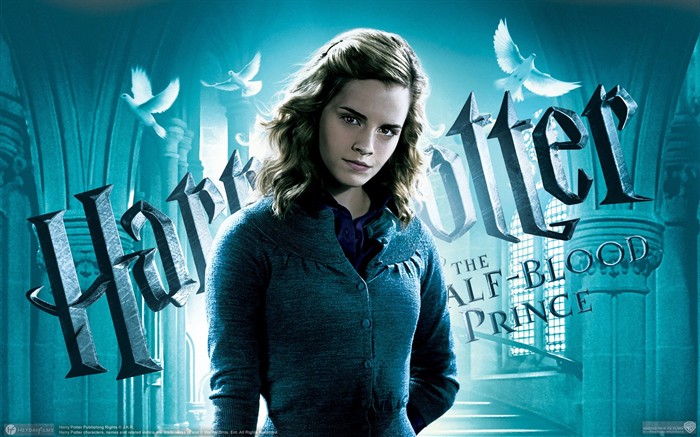 Harry Potter and the Half-Blood Prince Tapete #3