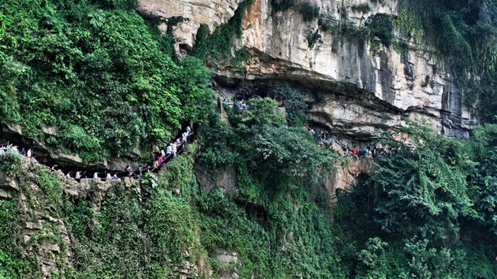 Huangguoshu Falls (Minghu œuvres Metasequoia) #6